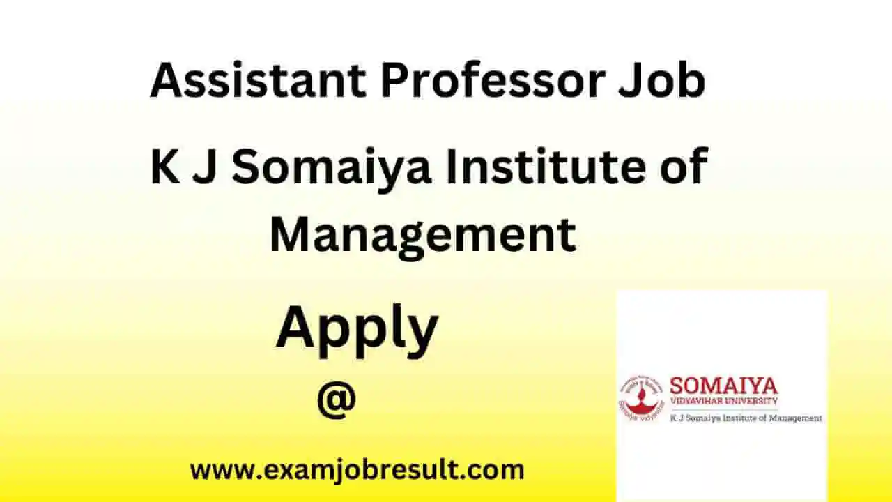 Assistant Professor Job